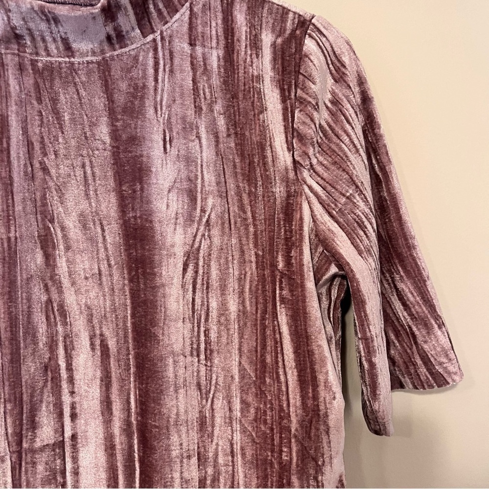 PILCRO ANTHROPOLOGIE  Velveteen Mock Neck Top - Picture 5 of 7